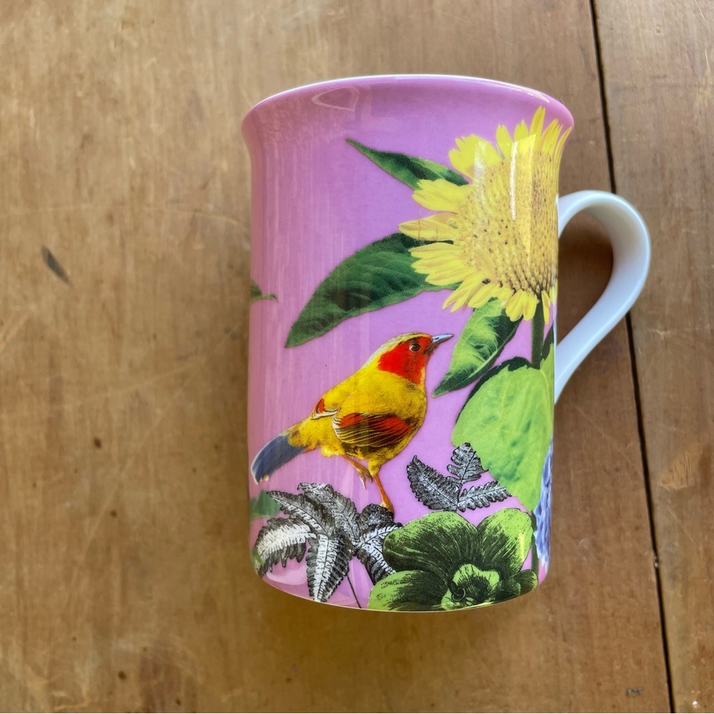 Stechcol Mug Coffee Tropical Bird Gracie Bone China Excellent Condition!